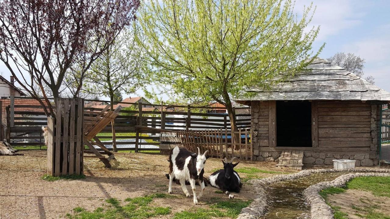 Ethno Village Stanisici Bijeljina Exterior foto